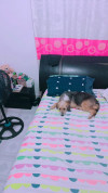 Foto de Kira en Barranquilla Atlántico #4