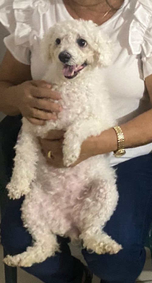 Susy