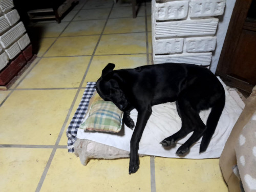 Luna