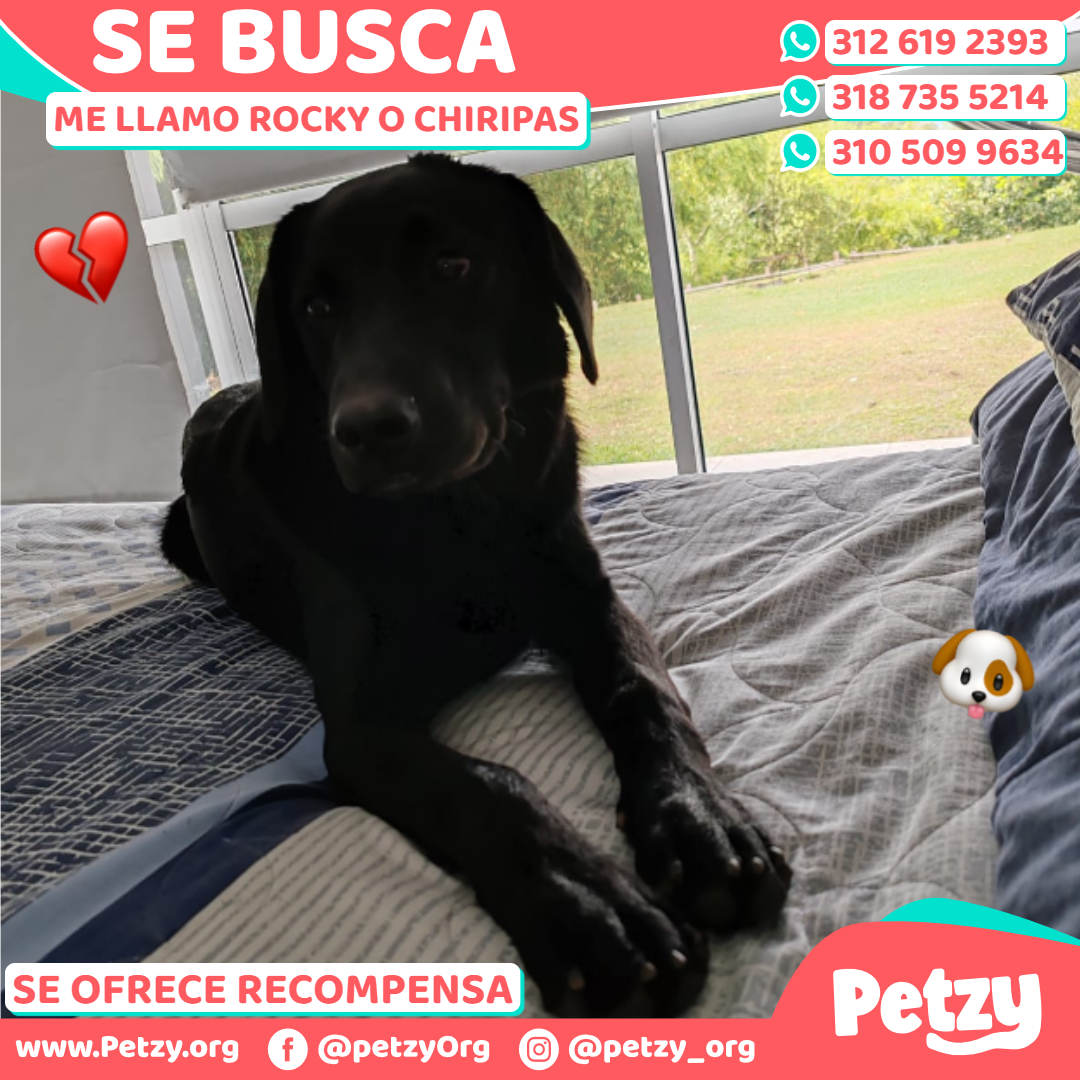 Rocky O Chiripas