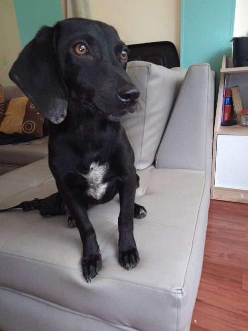 Lupita