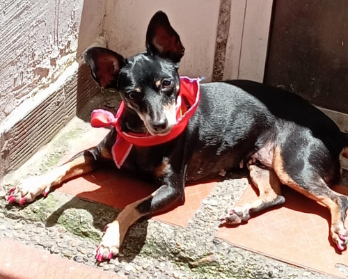 Juanita