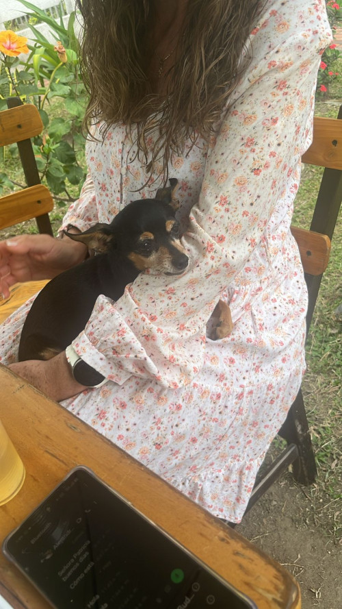 Juanita