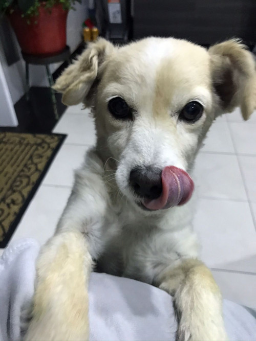 Luna