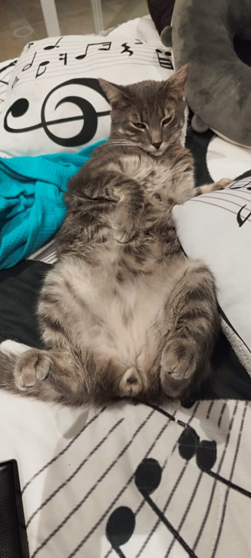 Ragnar