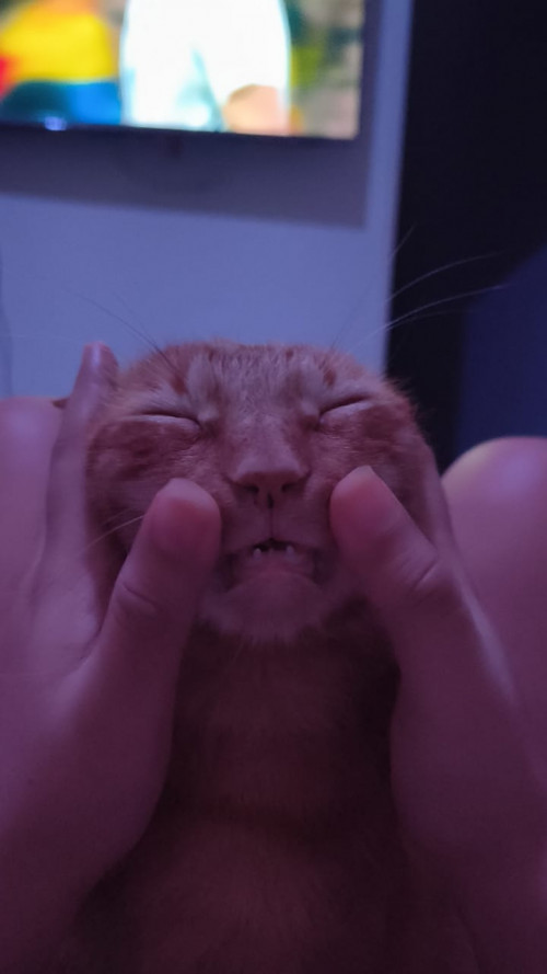 Chispitas