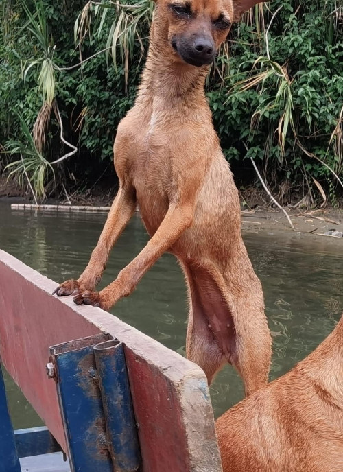 Lupita