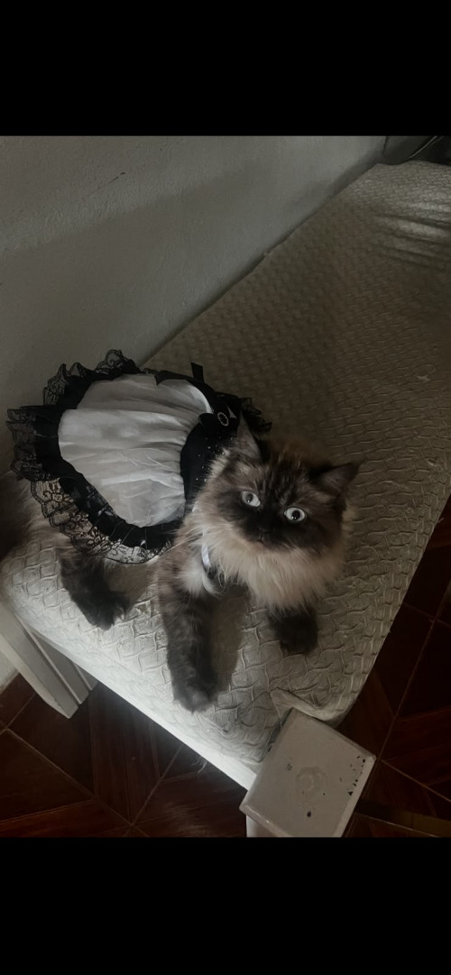 Nina