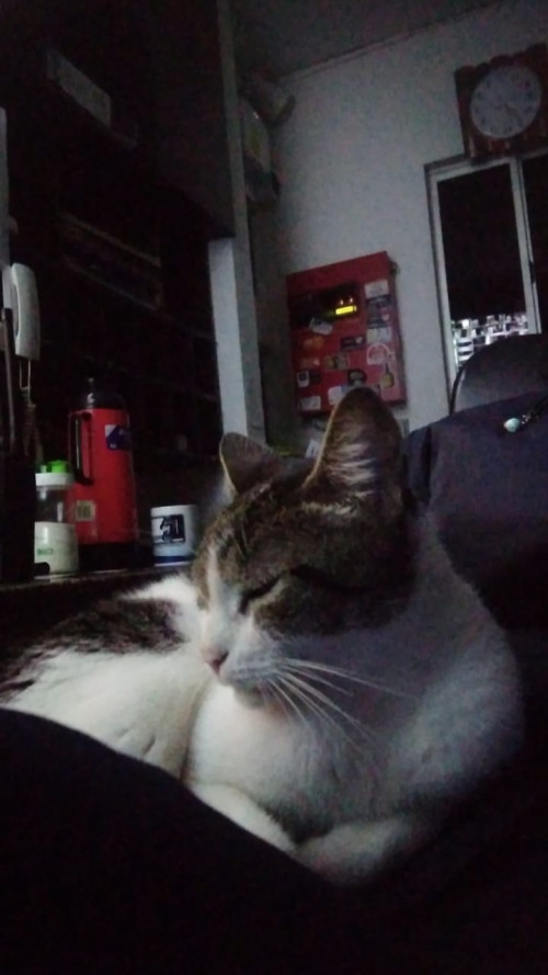 Michu