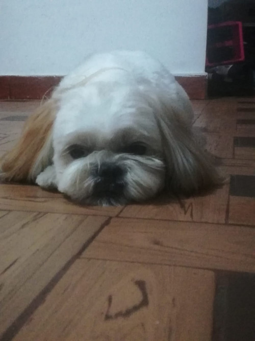 Chouji
