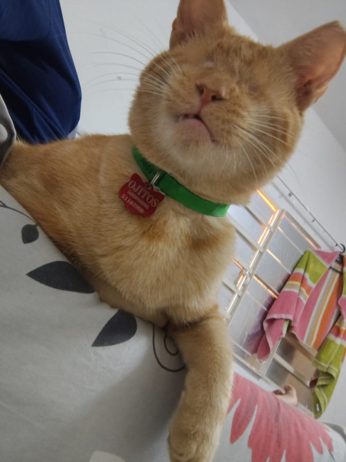 Ojitos