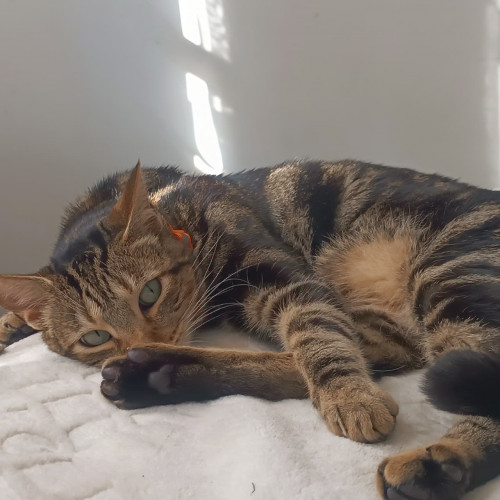 Florencio
