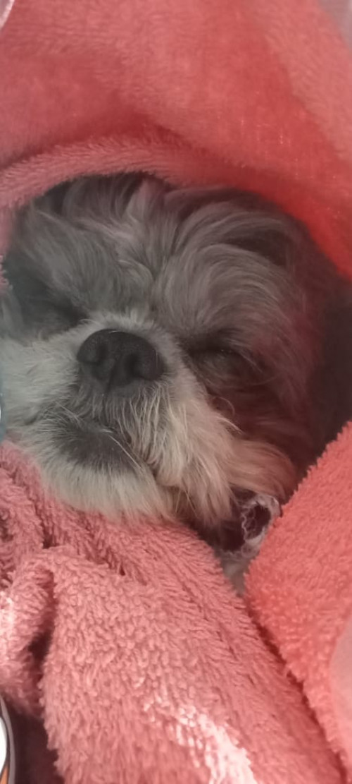 Bengie