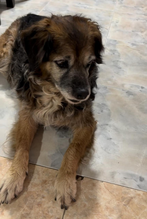 Perla