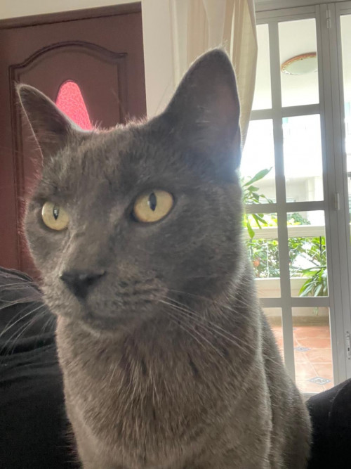 Mia