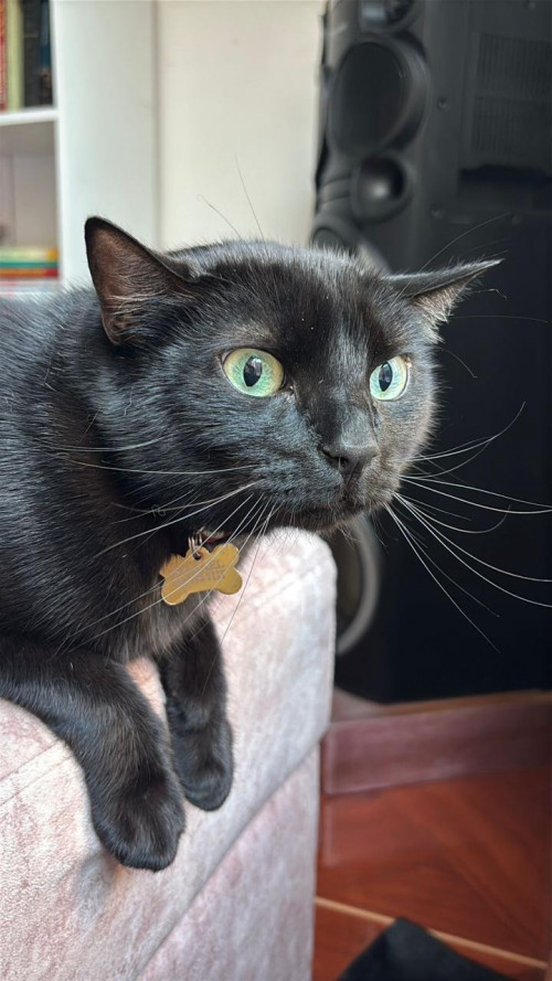 Samael