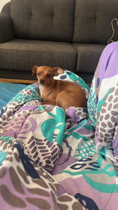 Mia
