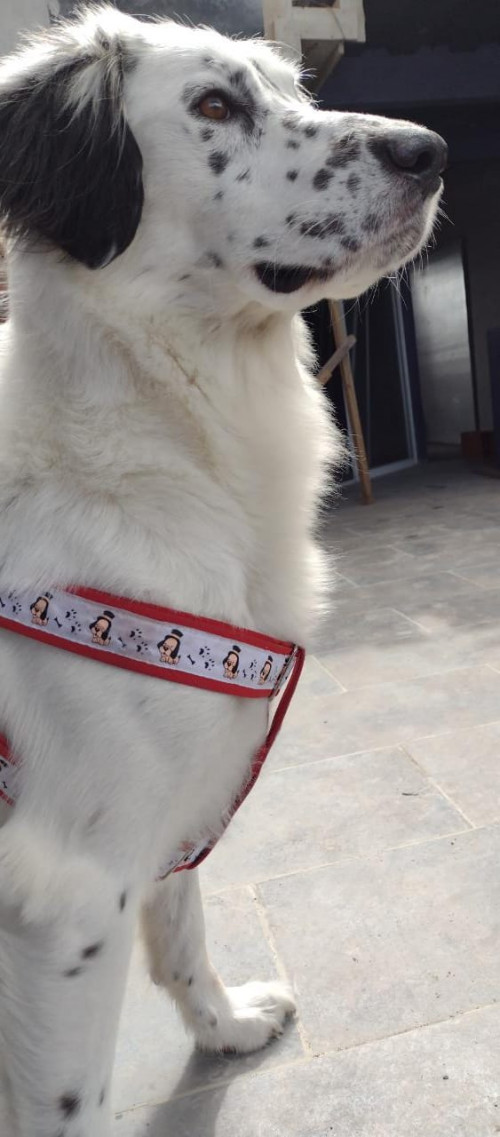 Casper