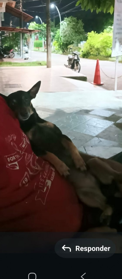 Chester