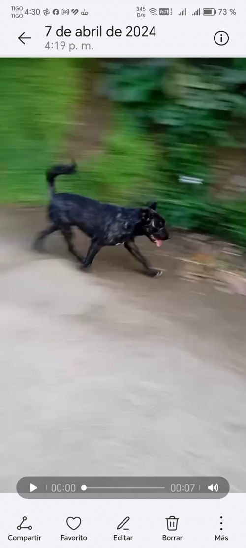 óptimo