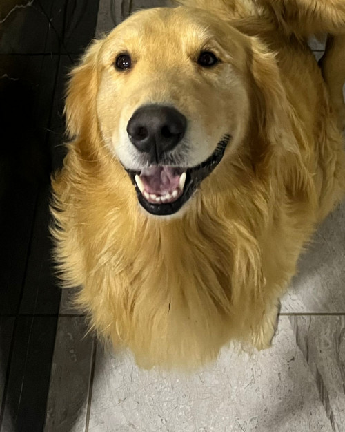 Lennon