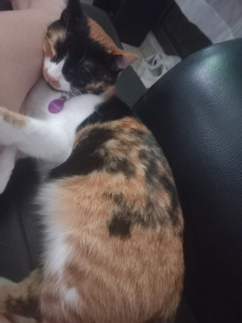 Luna