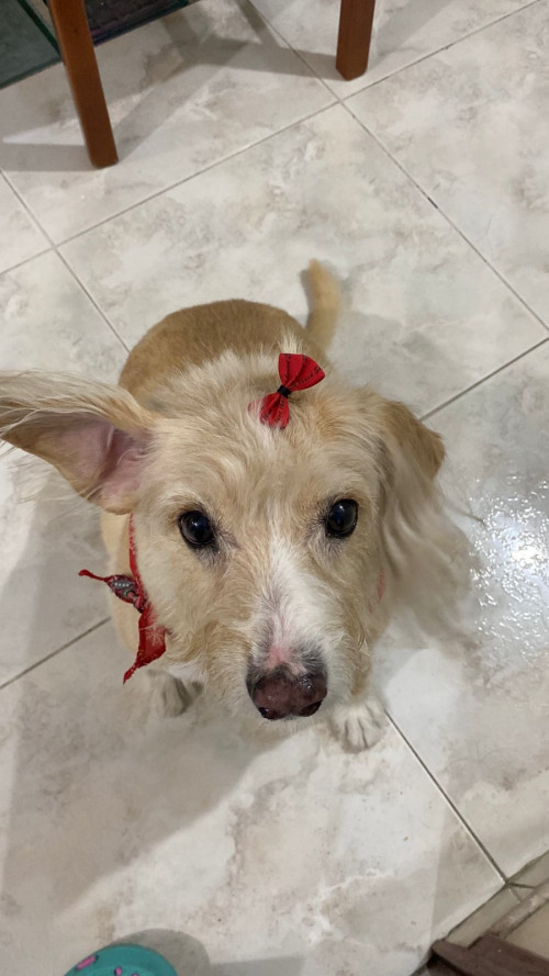 Muñeca