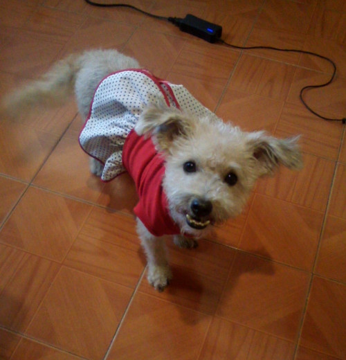 Miachela