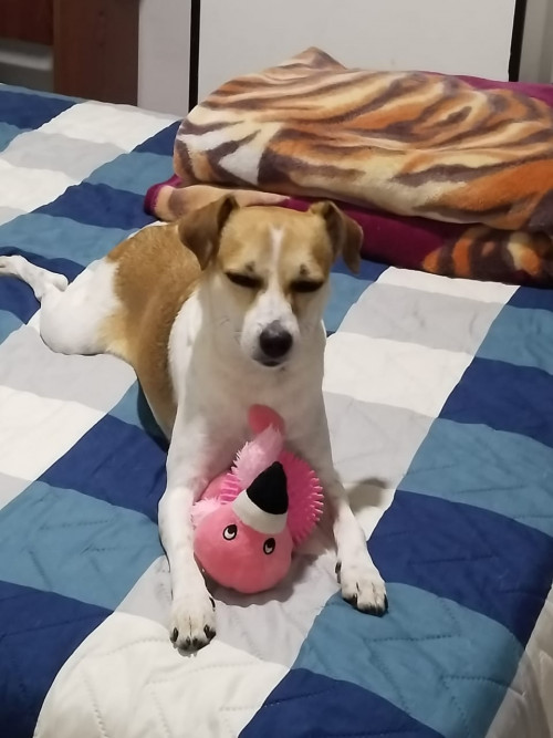 Mia