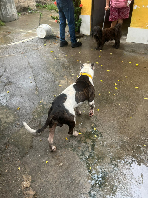 Ares
