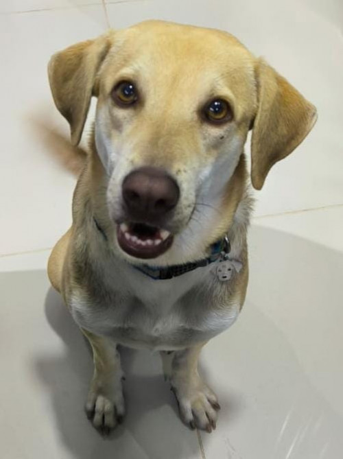 Max
