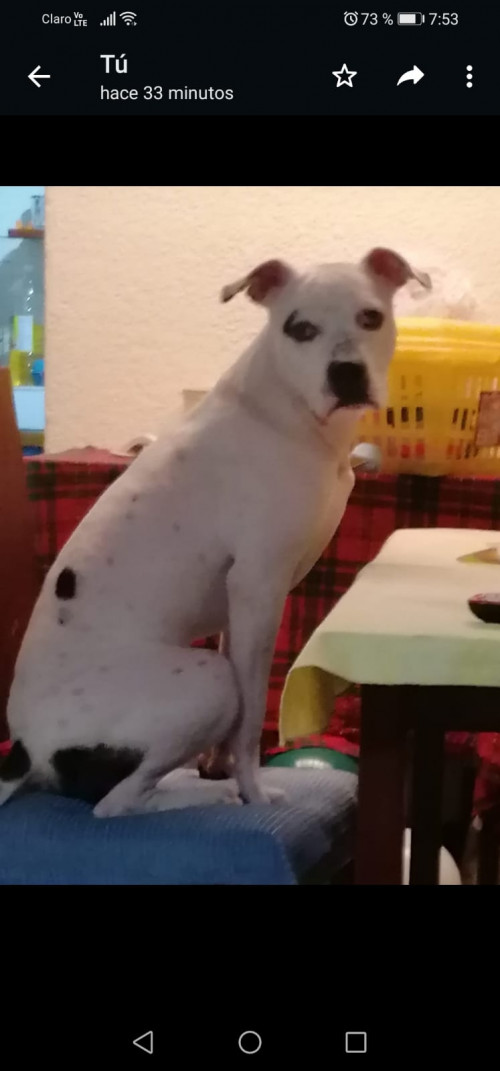 Rocko