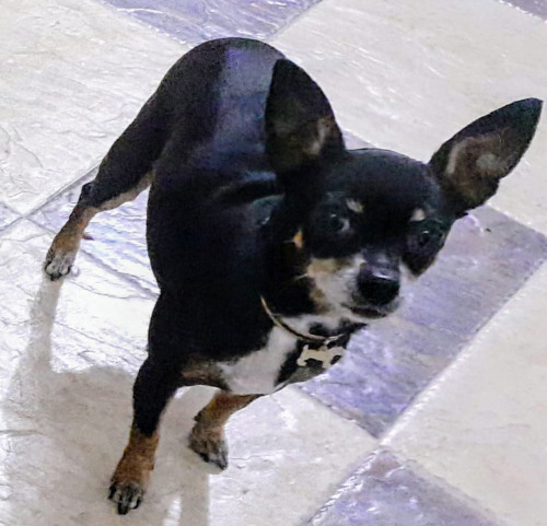 Betty