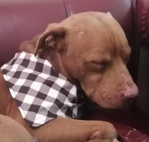 Zeus