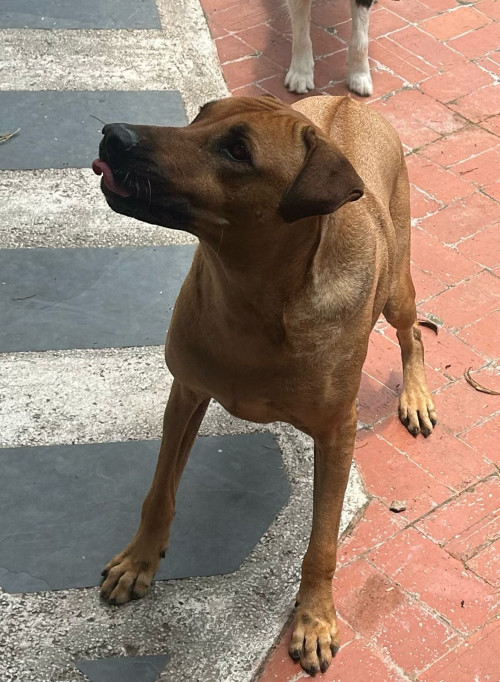Rita
