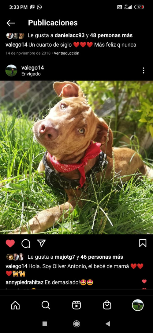 Oliver 
