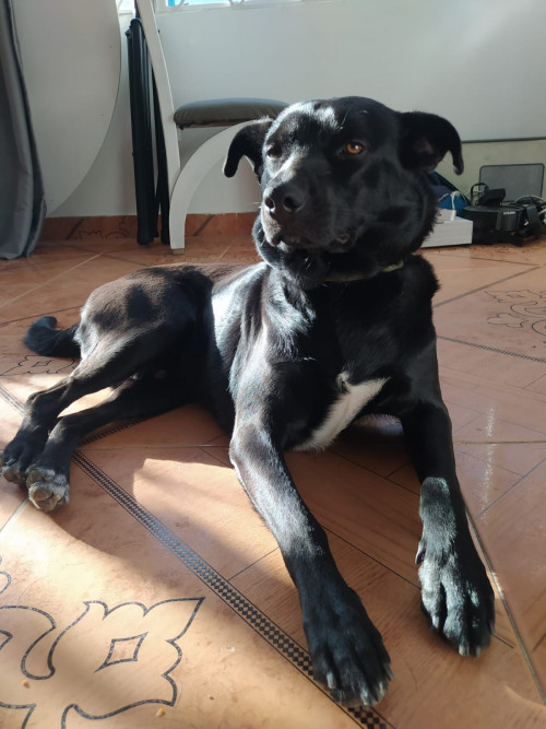 Júpiter