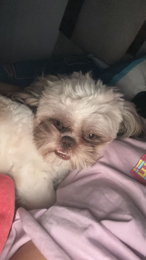 Milo