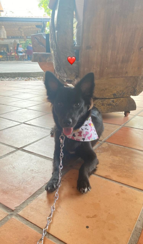 Luna
