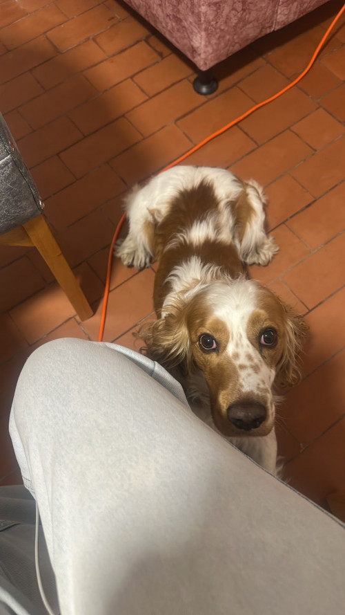 Max
