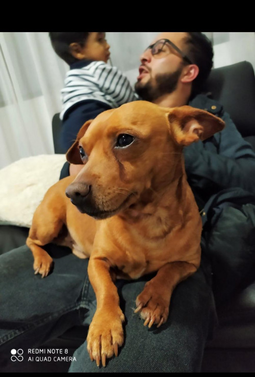 Toby