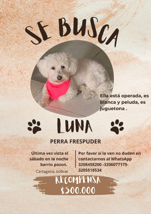 Luna