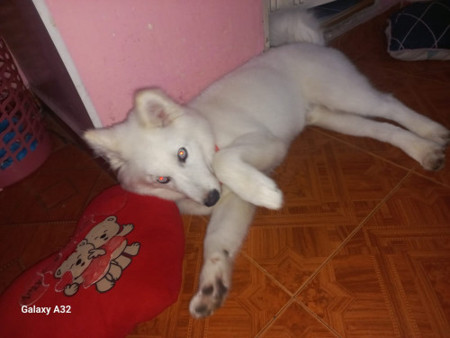 Max