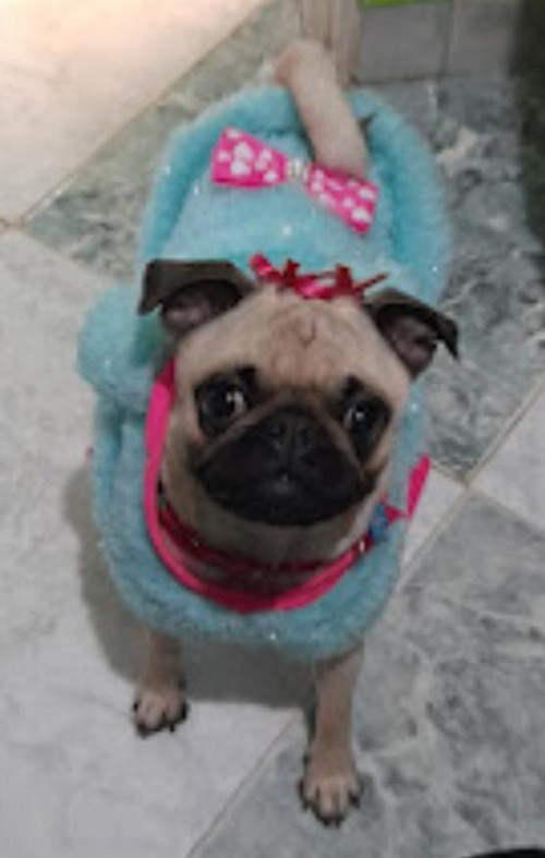 Samy