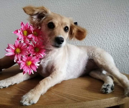 Susy