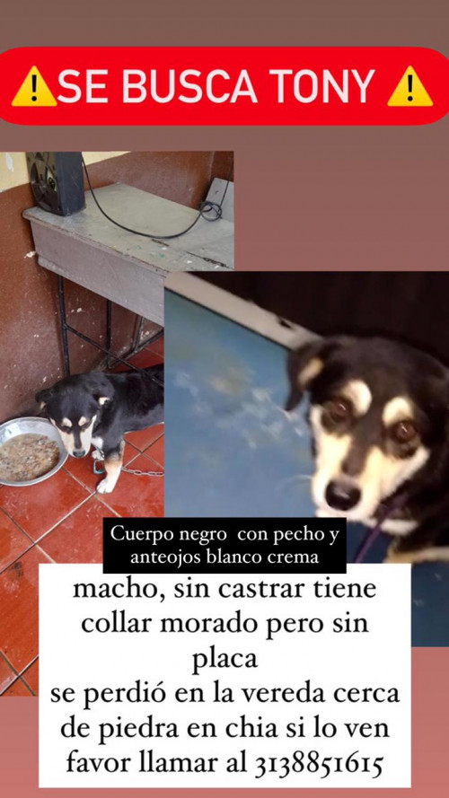 Tony