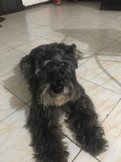 Coky