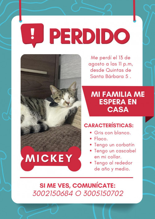 Micky