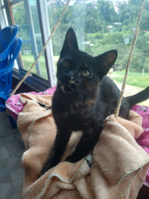 Morita