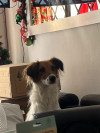 Foto de Tokio en Cali Valle del Cauca #0